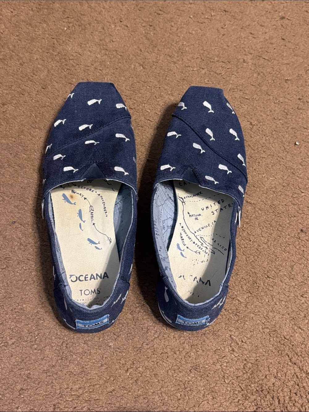 Toms Navy Canvas Slip-Ons with White Whale Print